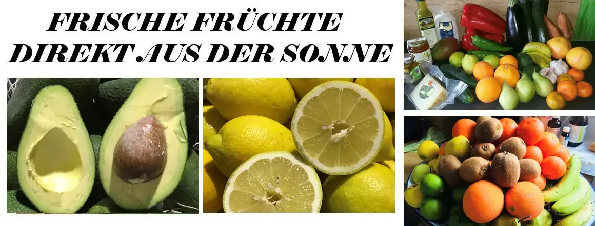 Angebote